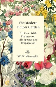Modern Flower Garden - 6. Lilies - With Chapters on Lily Species and Propagation