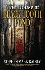 House at Black Tooth Pond