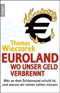 Euroland: Wo unser Geld verbrennt