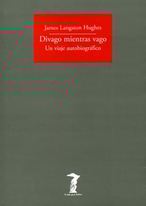 Divago mientras vago