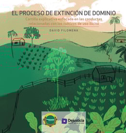 El proceso de extinción de dominio