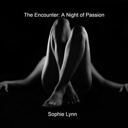 Encounter: A Night of Passion