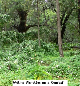 Writing Vignettes on a Gumleaf