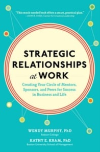 Strategic Relationships at Work (PB)