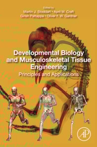 Developmental Biology and Musculoskeletal Tissue Engineering