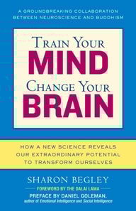 Train Your Mind, Change Your Brain