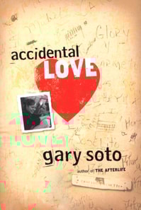 Accidental Love
