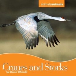 Cranes and Storks