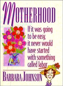 Motherhood Mini Book