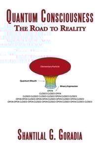 Quantum Consciousness