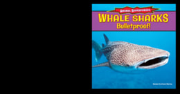 Whale Sharks: Bullet-Proof!