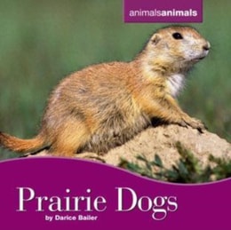 Prairie Dogs
