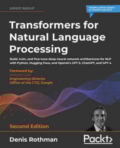 Transformers for Natural Language Processing 