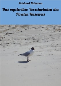 Das mysteriöse Verschwinden des Piraten Naseweis