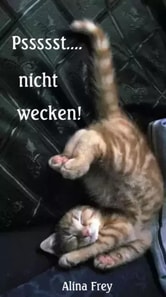 Psssst... nicht wecken!
