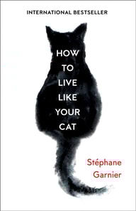 How to Live Like Your Cat