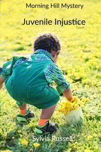 Morning Hill Mystery Juvenile Injustice