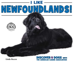 I Like Newfoundlands!