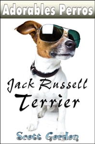 Adorables Perros: Los Jack Russell Terrier