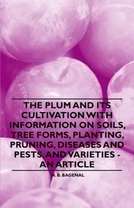 Plum and Its Cultivation with Information on Soils, Tree Forms, Planting, Pruning, Diseases and Pests, and Varieties - An Article