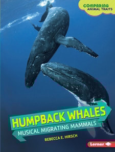 Humpback Whales