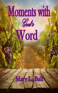 Moments with God's Word