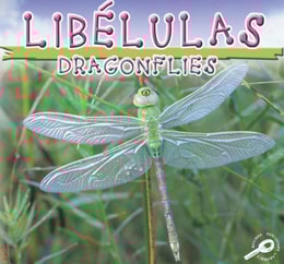 Libelulas