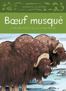 Bœuf musqué