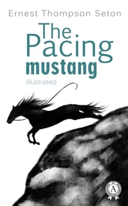Pacing mustang
