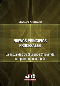 Nuevos principios procesales