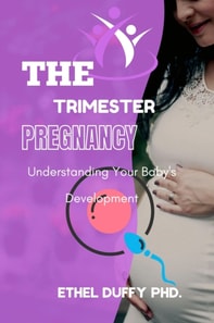 Trimester Pregnancy