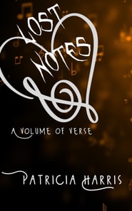 Lost Notes
