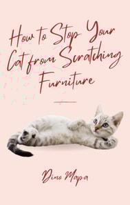 How to Stop Your Cat from Scratching Furniture