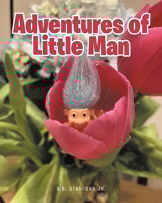 Adventures of Little Man