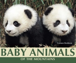 Baby Animals of the Mountains