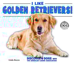 I Like Golden Retrievers!
