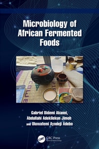 Microbiology of African Fermented Foods