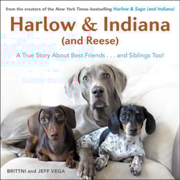 Harlow & Indiana (and Reese)