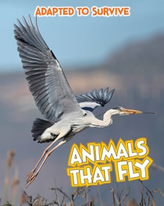 Adapted to Survive: Animals that Fly
