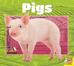 Pigs