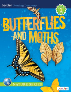Butterflies and Moths