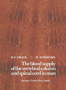 blood supply of the vertebral column and spinal cord in man