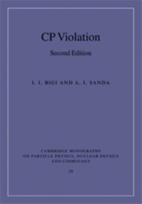 CP Violation