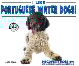 I Like Portuguese Water Dogs!