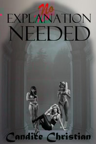 No Explanation Needed