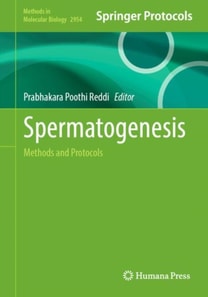 Spermatogenesis