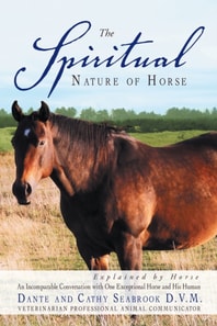 Spiritual Nature of Horse Explained by Horse