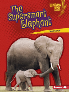 Supersmart Elephant