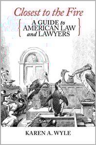 Closest to the Fire: A Guide to American Law and Lawyers