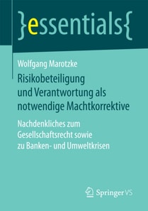 Risikobeteiligung und Verantwortung als notwendige Machtkorrektive